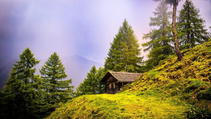 Cabin in the woods