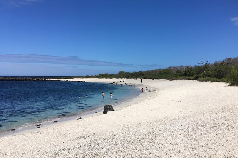 Off-the-Grid Destination